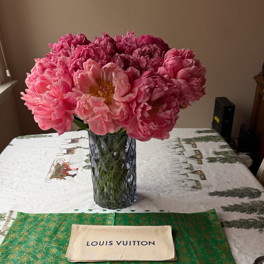 🌹 LOUIS VUITTON DUST COVER 🌹 - Picture 4 of 12